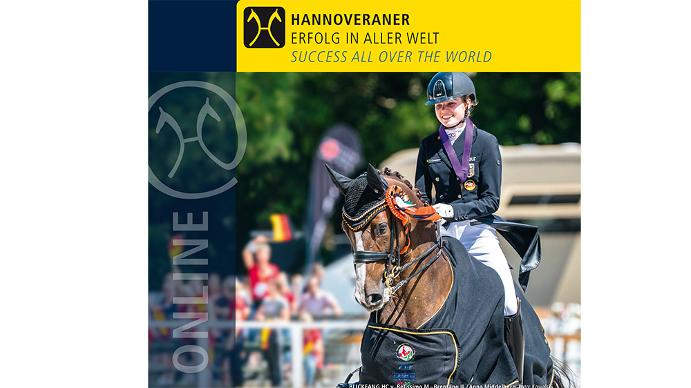 New videos of the Hannoveraner auction candidates