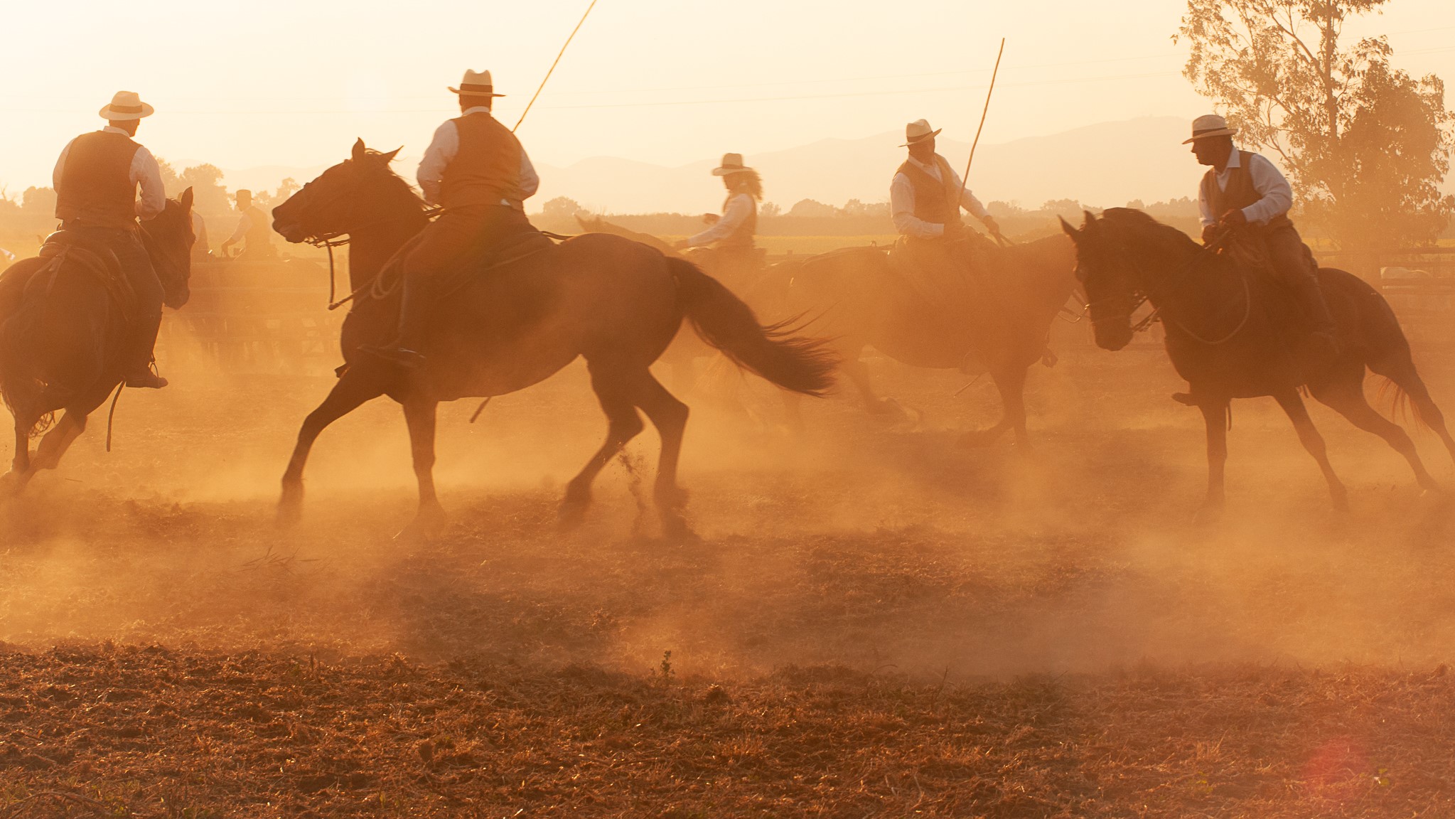 Là in mezzo, tra la polvere e i cavalli