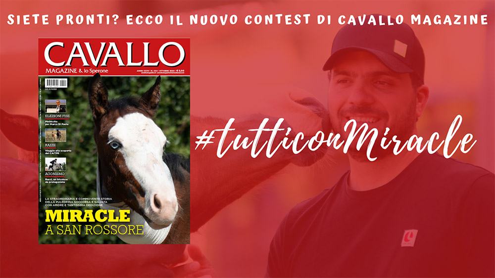 #tutticonMiracle