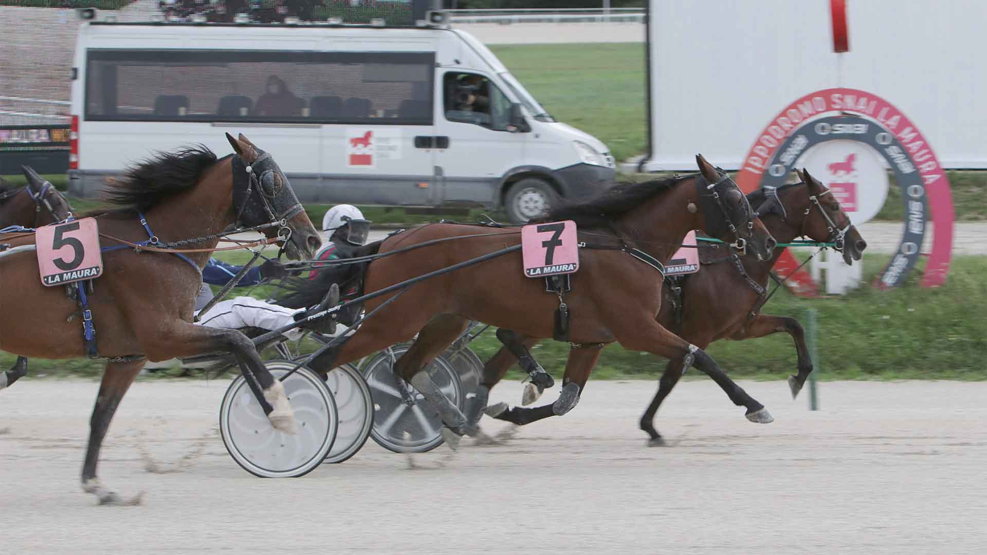 Un bel venerdì di trotto alla Maura