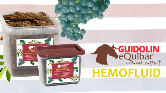 Guidolin Horses: continua il progetto benessere e salute del cavallo