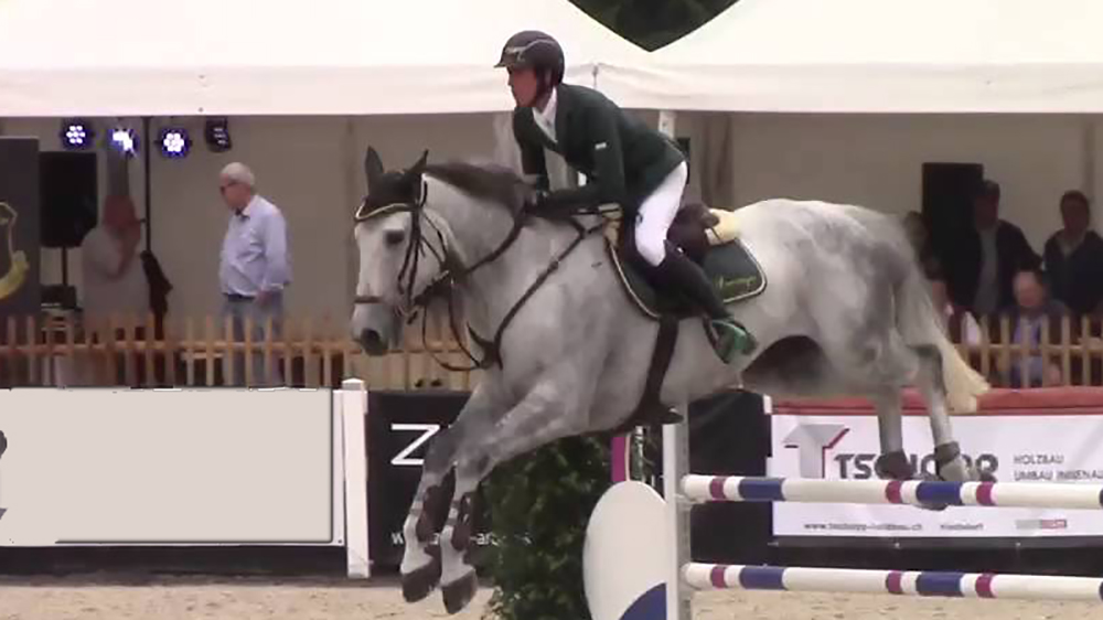 Ammazza il cavallo per dargli una lezione. E ora va in prigione