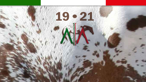 Gli Appaloosa alla Camera dei Deputati