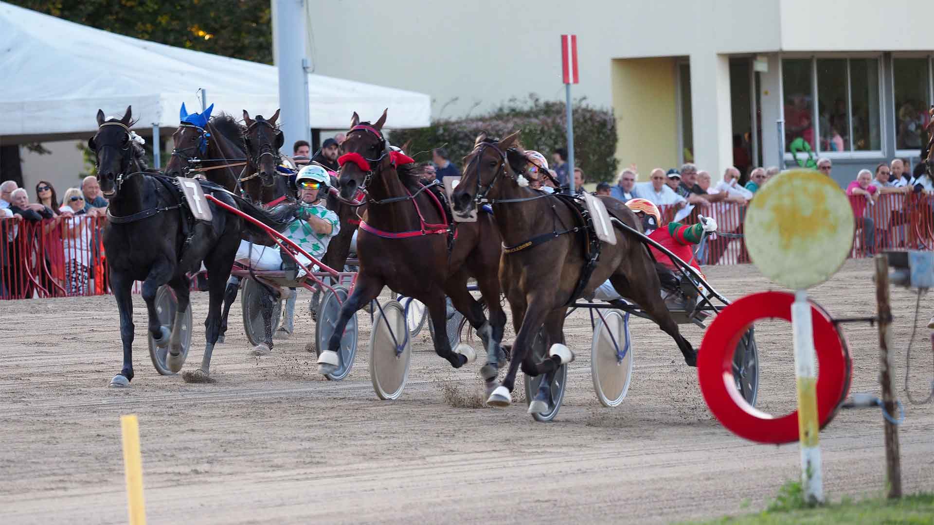 I Gentleman italiani invadono l’Arcoveggio