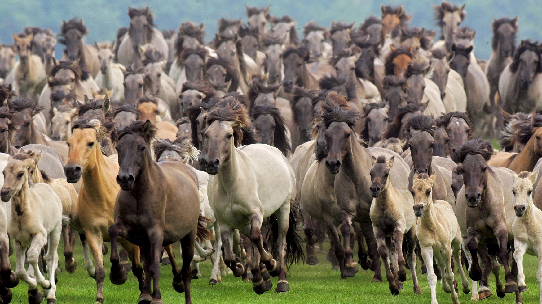 Buone notizie del 2020: perché ci sono state anche loro!
