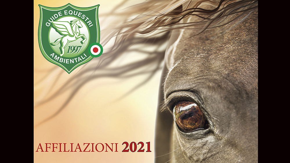 Quello che serve per il 2021