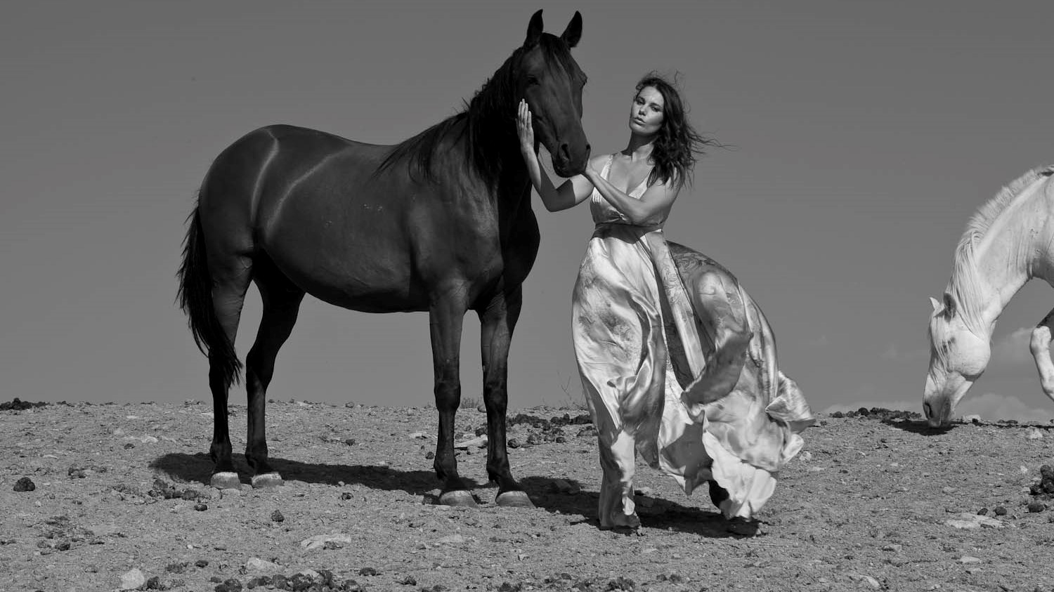 Il calendario 2021 di Italian Horse Protection per i cavalli positivi all’anemia infettiva