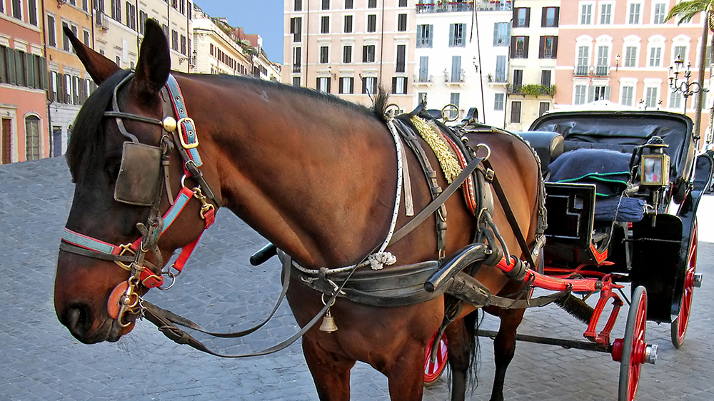 Verona è arrivata prima