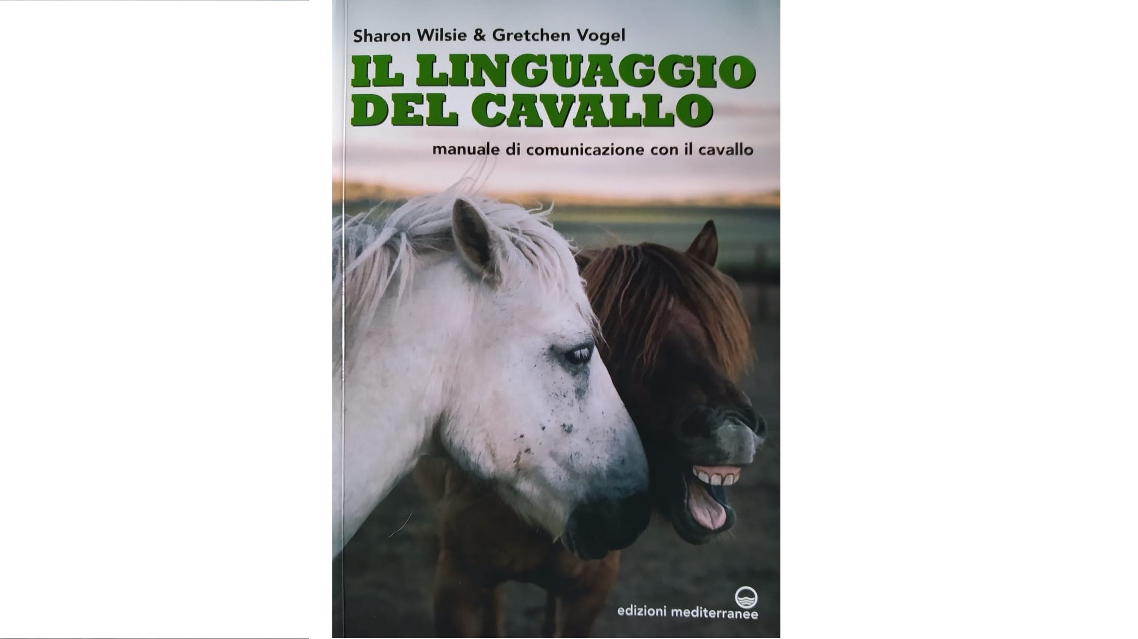 Sharon Wilsie, spunti di conversazione: con i cavalli