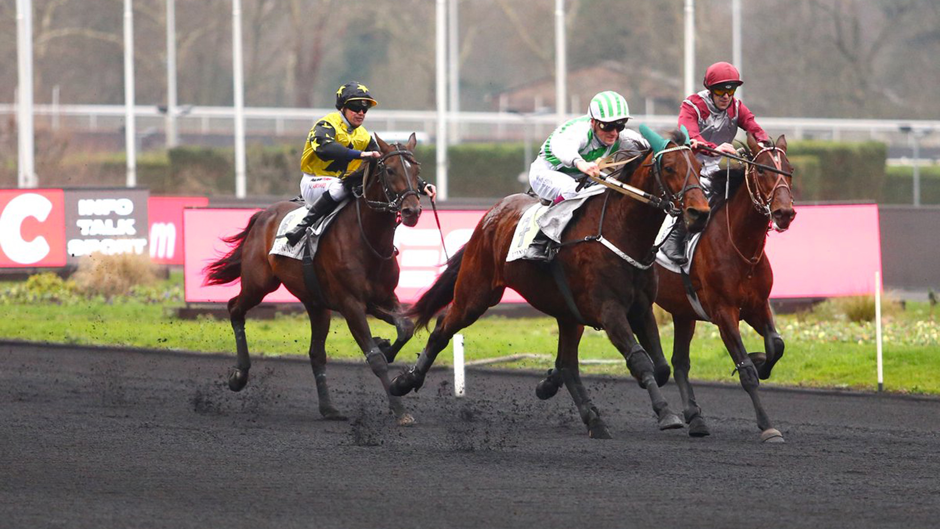 Gli iscritti al Prix de Cornulier di domenica 24