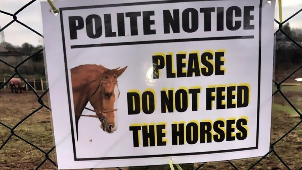 Gbr: nasce il gruppo Fb “Stop feeding our horses”