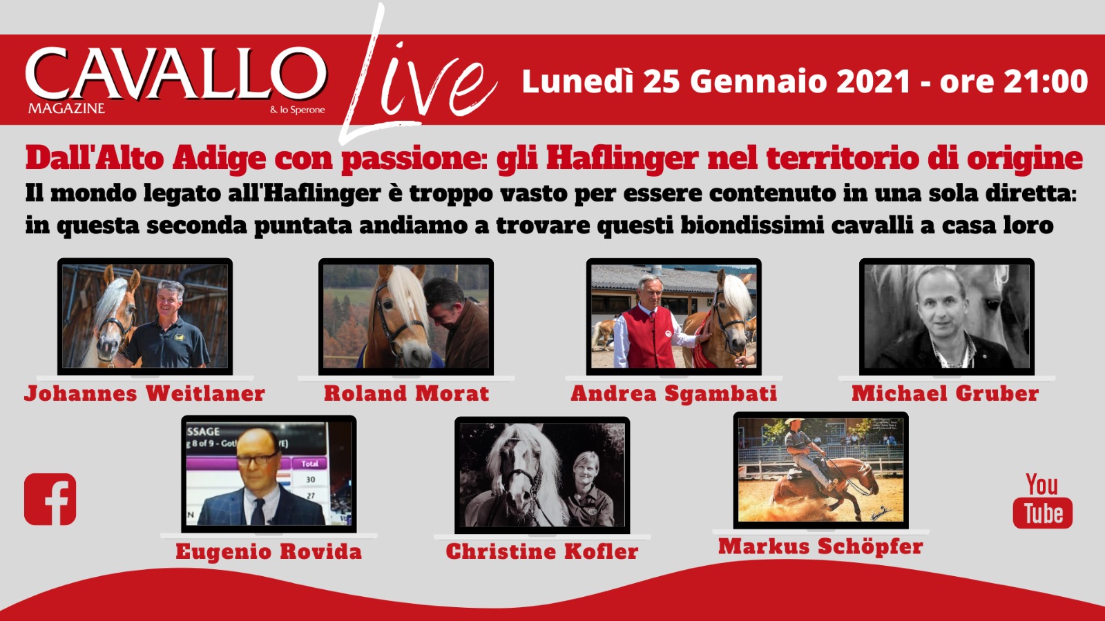 Lunedì 25 gennaio 2021: ancora Haflinger a Cavallo Magazine Live