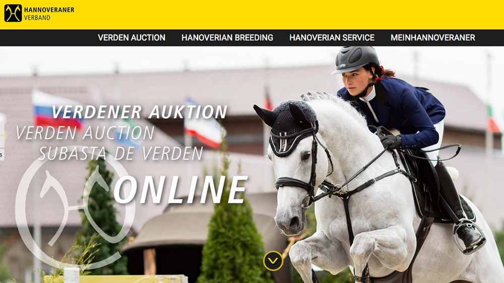 Auction online: it’s time for Verden