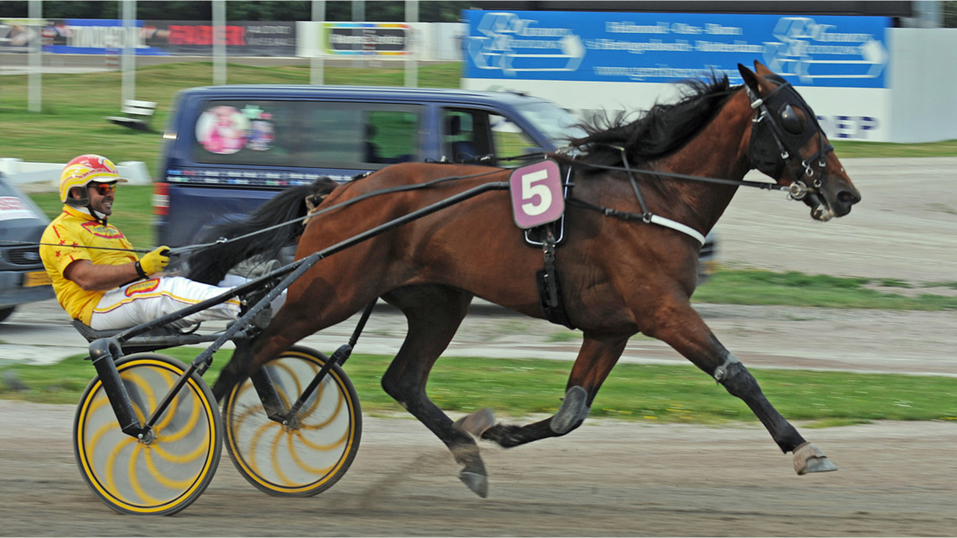 Vitruvio, da Bazire a Gocciadoro