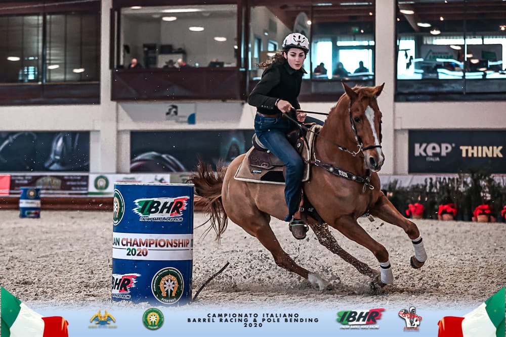 Tutti i campioni dell’Horse Management Lab Ibhr-Fitetrec Ante