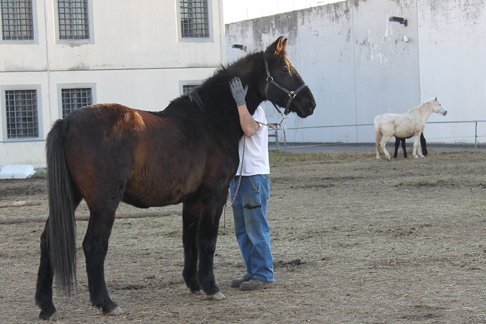 Momenti condivisi Lob