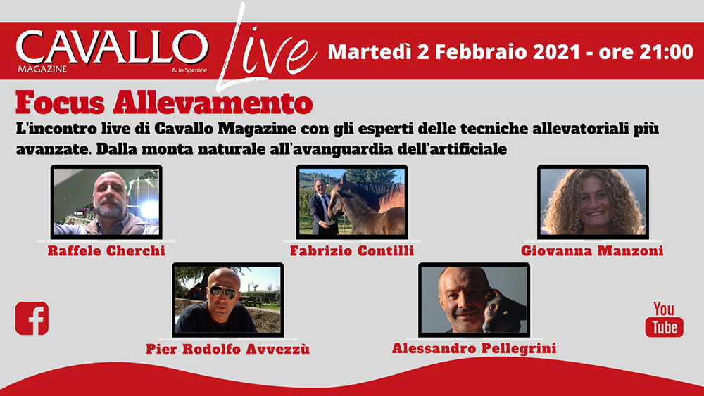 Cavallo Magazine Live: 2 febbraio con l’allevamento