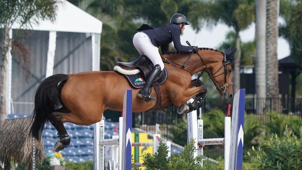 Wellington: Gran Premio firmato da Darragh Kenny