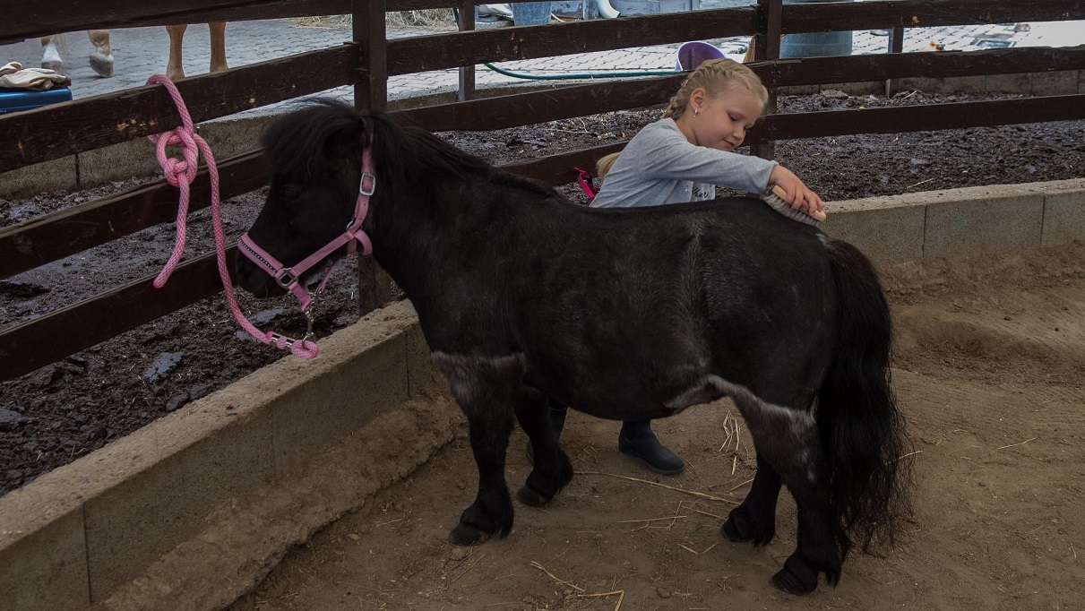 Montare a cavallo fa bene al cuore dei bambini: oggi più che mai