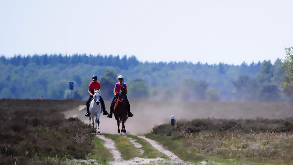 Endurance: Double Championships in Holland