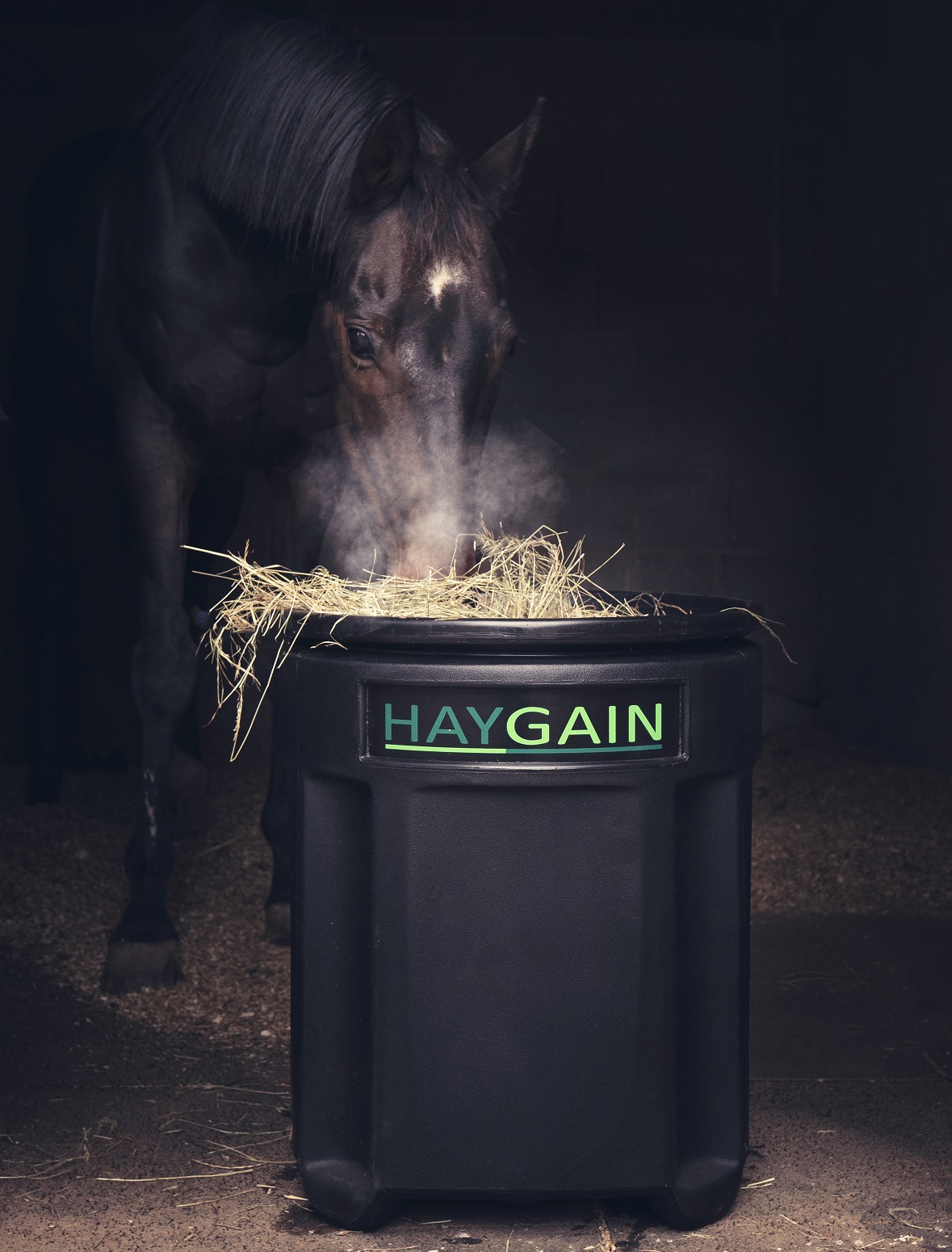 Horse eating out of HGOne edited no hose