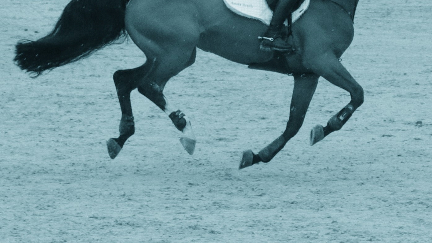 Sospeso il Sunshine Tour per EHV: un cavallo ha problemi neurologici