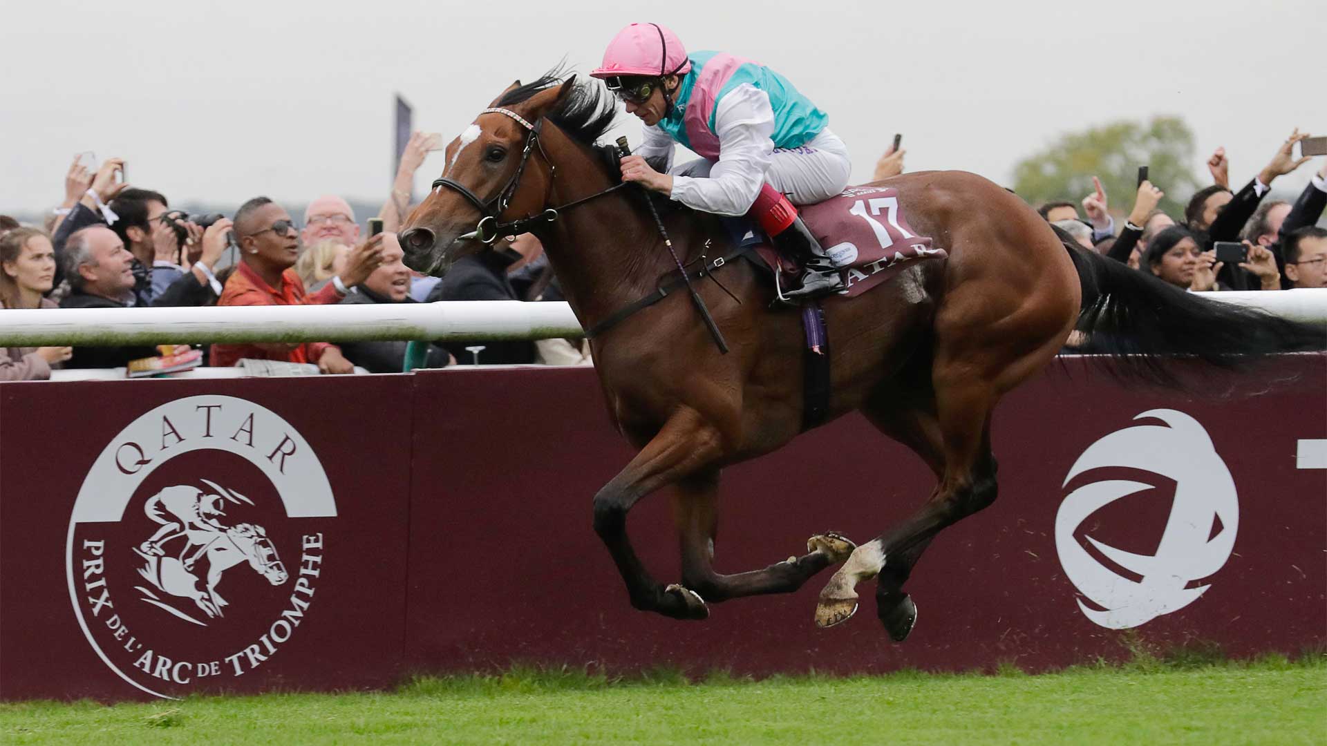 Enable è gravida!