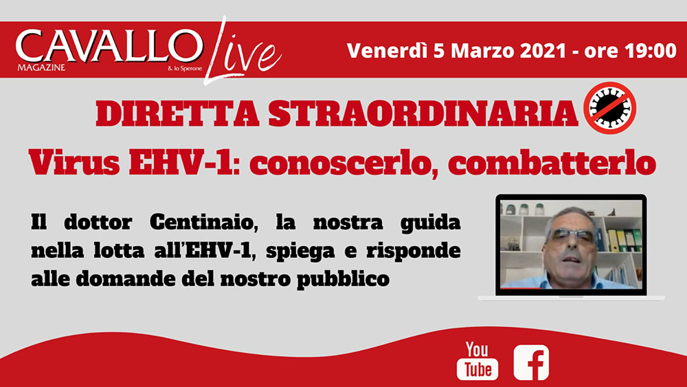 Live straordinaria: si parla di Ehv-1 con il dottor Centinaio
