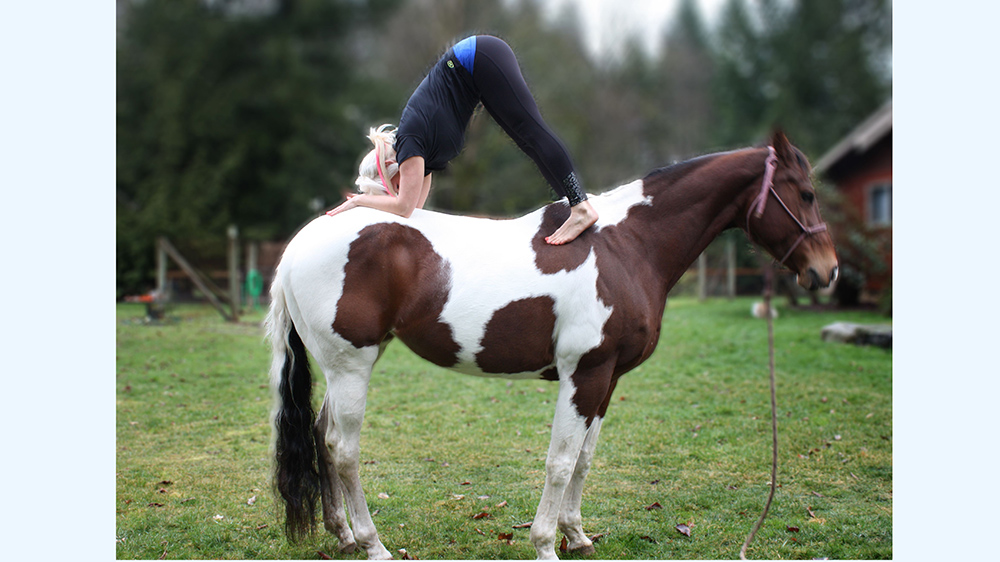 Benessere: le meraviglie dello yoga equestre