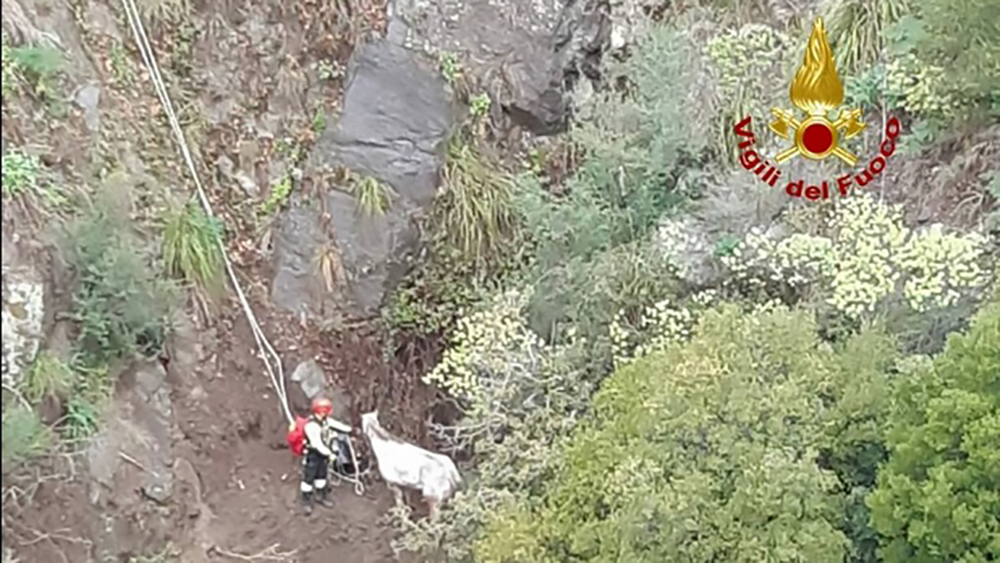 vigili del fuoco
