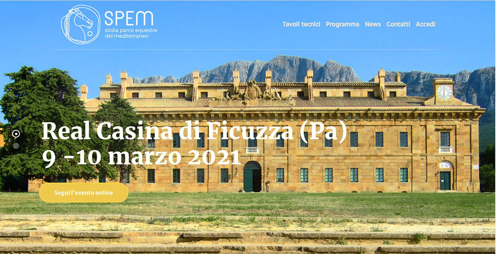 Gli Stati Generali del cavallo in Sicilia