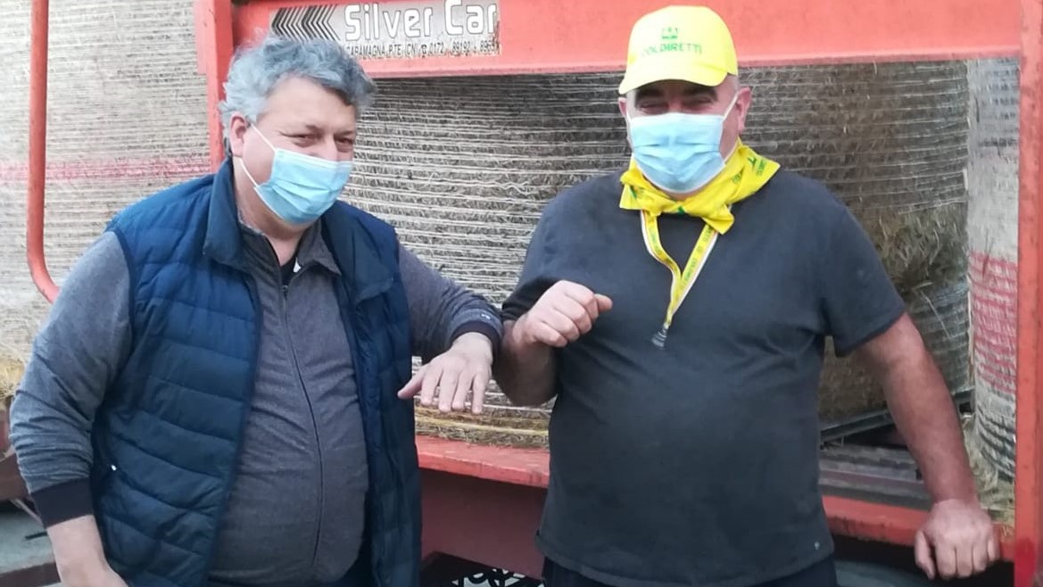 Agricoltore regala il fieno per 44 cavalli al Circo Togni