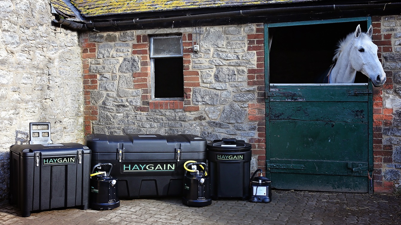 Fieno purificato con Haygain: la responsabilità delle sue esigenze