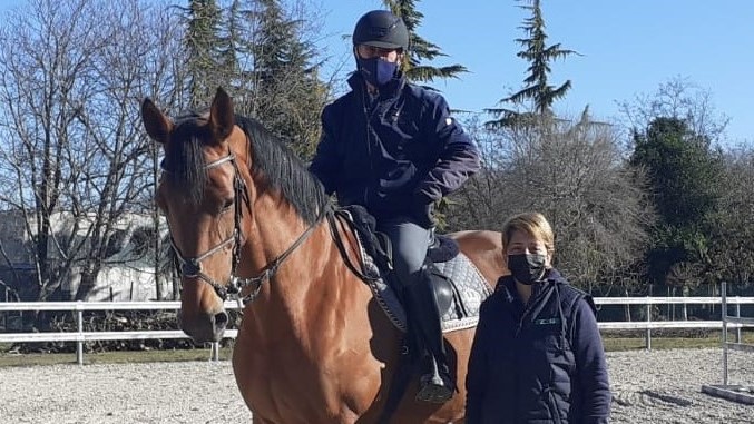Rinopolmonite, alias Herpes Virus equino: cosa fare