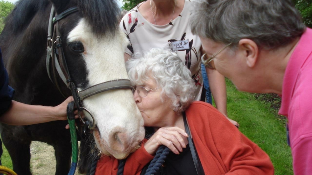 Demenza: il grande aiuto dei piccoli pony