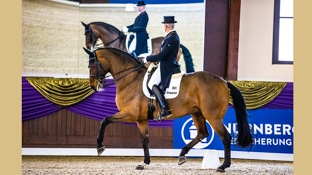 Verden_Auction