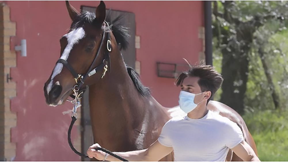 albo 2021, Palio di Siena