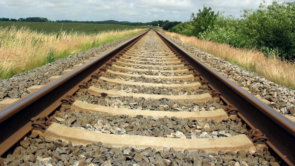 Frecciarossa investe mini pony: si chiamava Mario