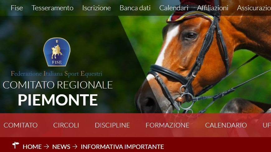 Da Fise Piemonte: cavallo abbattuto per EHV-1