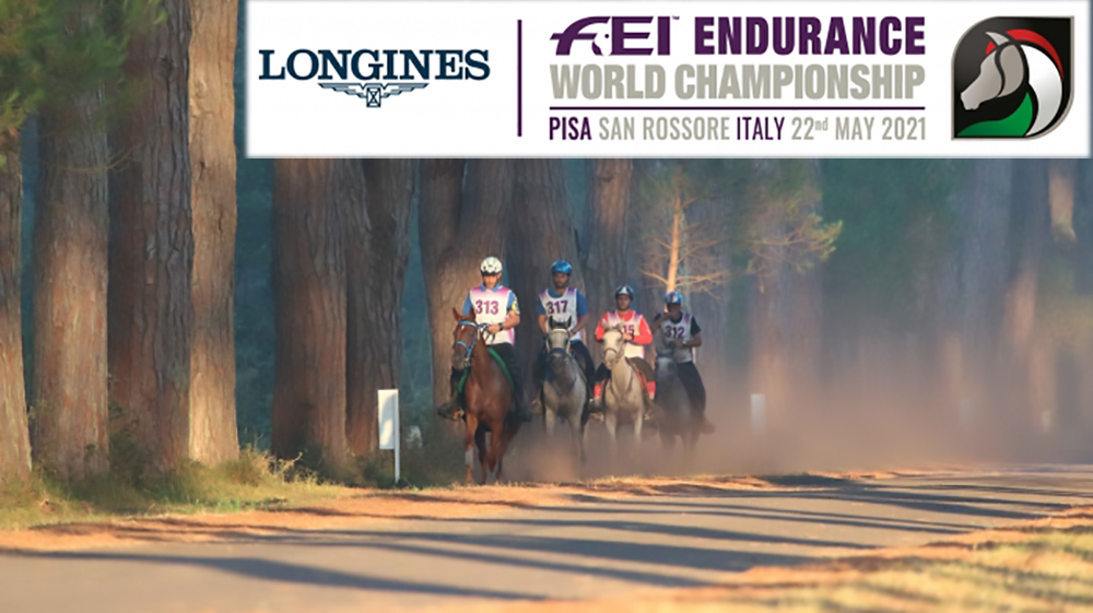 Endurance entries in San Rossore