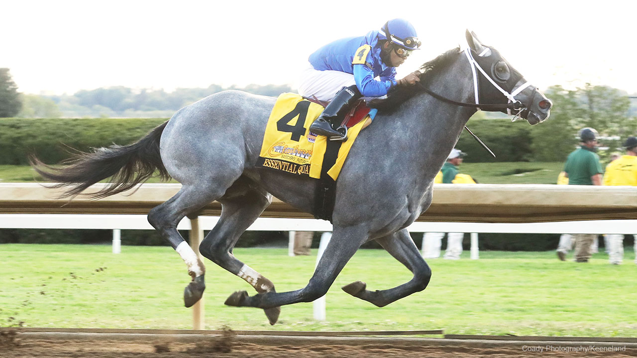 I partenti del 146° Kentucky Derby di sabato prossimo