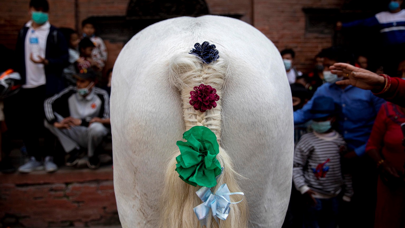 Ghode Jatra: la festa dei cavalli in Nepal