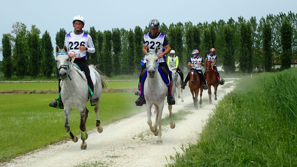 Fieracavalli Endurance World Cup 2022