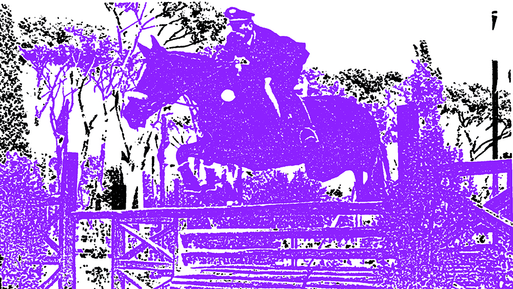 cultura_equestre