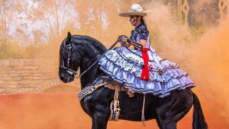 Messico, cavalli Frisoni e nuvole