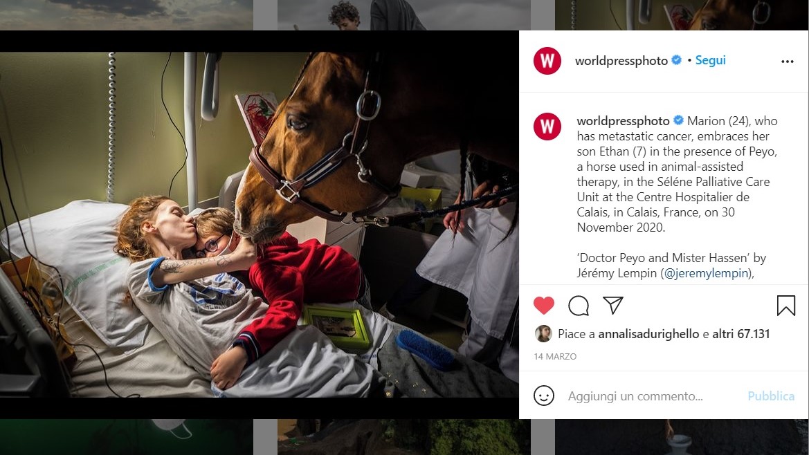 World Press Photo Exhibition 2021: c’è anche Peyo