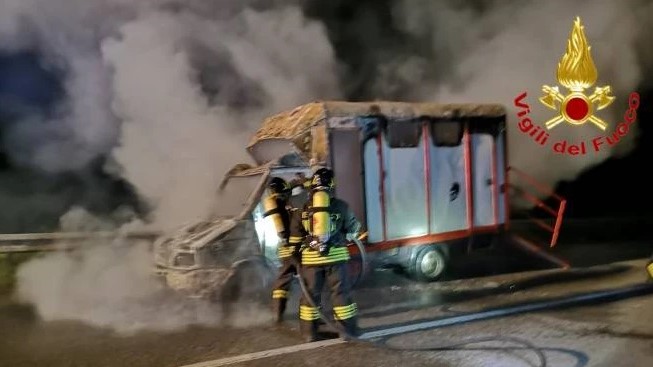 Lodi, salvati due cavalli dal furgone in fiamme