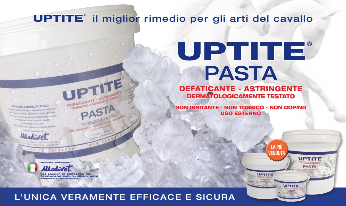 uptite 2