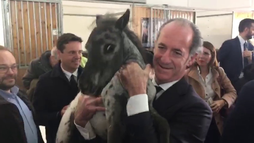 Veneto_Luca Zaia