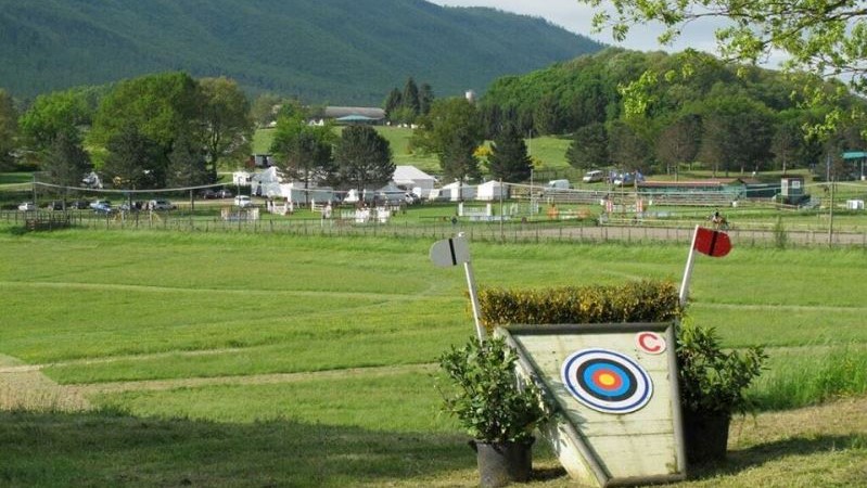 Trofeo del Cavallo Italiano: la classifica provvisoria!